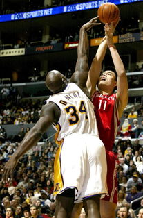 2003湖人vs火箭姚明(2007331湖人vs火箭) 2003湖人vs火箭姚明(2007331湖人vs火箭)