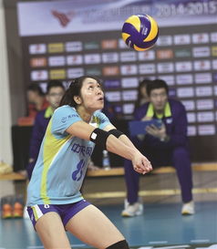 中国女排队员陈展(女排陈展个人资料简介) 中国女排队员陈展(女排陈展个人资料简介)