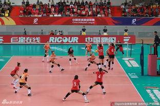 欧冠女排2019决赛时间（2020欧冠女排决赛时间）