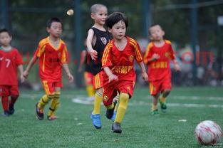 足球规则场外队员进球算吗(足球场外因素的定义) 足球规则场外队员进球算吗(足球场外因素的定义)