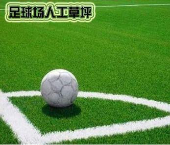 足球怎么看左右角进球数(足球场上的左右是怎么分的) 足球怎么看左右角进球数(足球场上的左右是怎么分的)