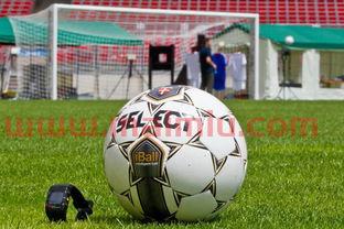 新赛季足球进球规则表(足球比赛赛季) 新赛季足球进球规则表(足球比赛赛季)