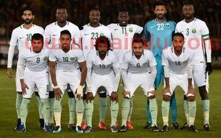 沙特阿拉伯足球队历史进球数(沙特阿拉伯足球名单)