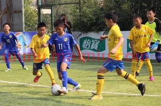 中国足球教练进球规则(来中国教足球的教练)