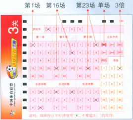 足球进球数23球技巧图解(足球进球总数公式)