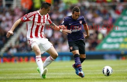 新赛季英超价格(英超联赛新赛季)