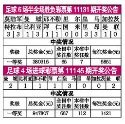 足球体彩怎么买总进球数(足彩进球彩怎么买)