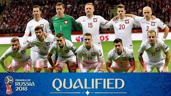 世界杯十二强赛中国战绩(世界杯12强赛赛果)