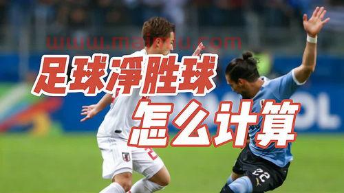 足球净胜球是进球数减失吗(足球净胜球数是什么意思)