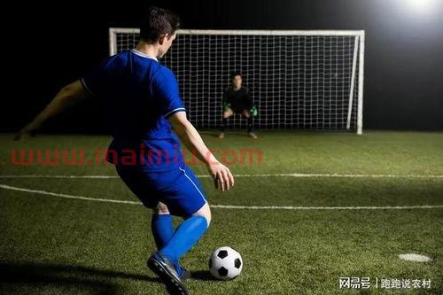 最好的意大利足球队队员(意大利足球队著名球员)