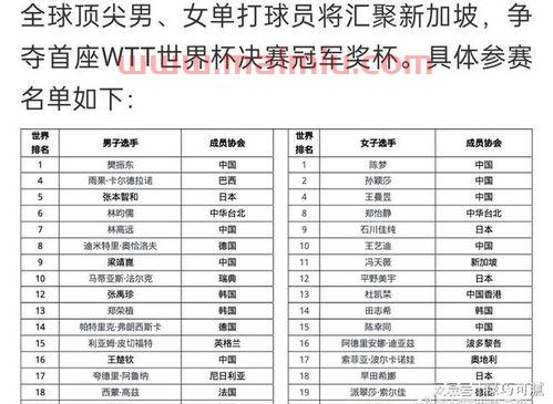 乒乓球赛程一览表新加坡（新加坡乒乓球世界冠军）